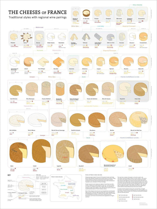 The Cheeses of France Chart | De Long